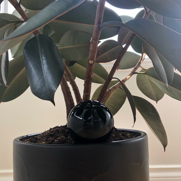 CB2 Nix black decorative sphere object - Picture 5 of 7